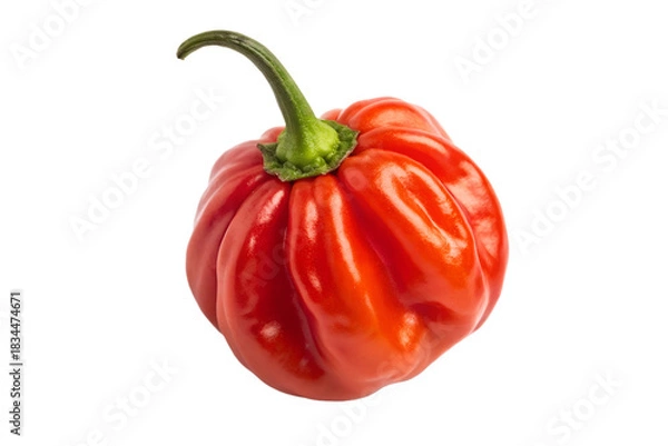 Obraz Scotch Bonnet Pepper Red Fresh Whole Isolated on White – Caribbean Hot Chili Macro Photography
