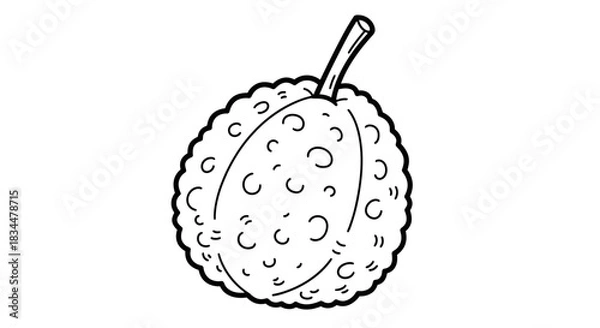 Obraz Black and white line art drawing of a single lychee fruit.