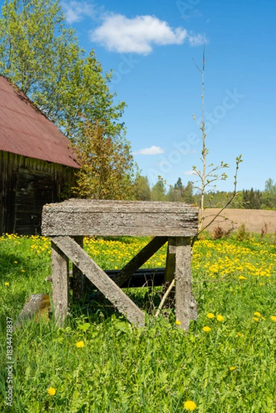 Obraz An old moss-covered wooden table in a rural landscape with dandelions, blue skies, and an old barn in the background.