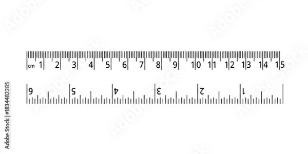 Fototapeta Vector realistic school ruler isolated on transparent background