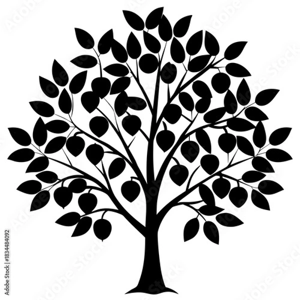 Obraz vector tree with leaves