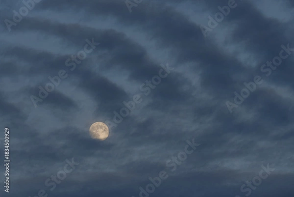 Obraz Supermoon December 2025