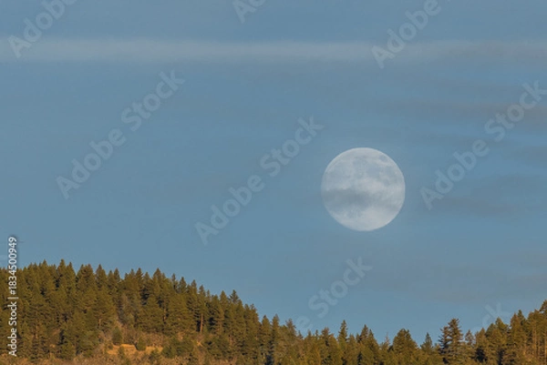 Obraz Supermoon December 2025