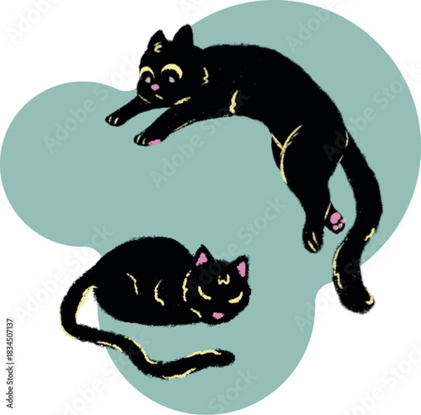 Fototapeta Kitty jumping and sleeping