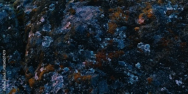 Fototapeta Close-up of a dark, textured rock surface with blue, orange, and white lichen patches.