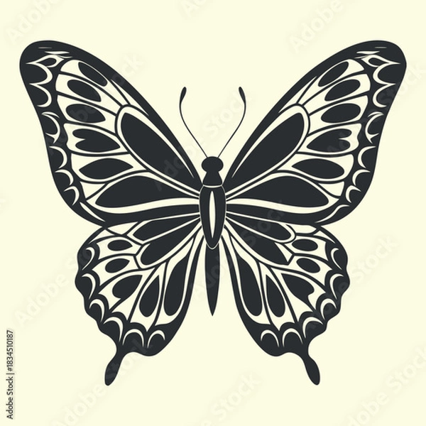 Obraz Black butterfly insect vector illustration on white background, a beautiful summer nature design element