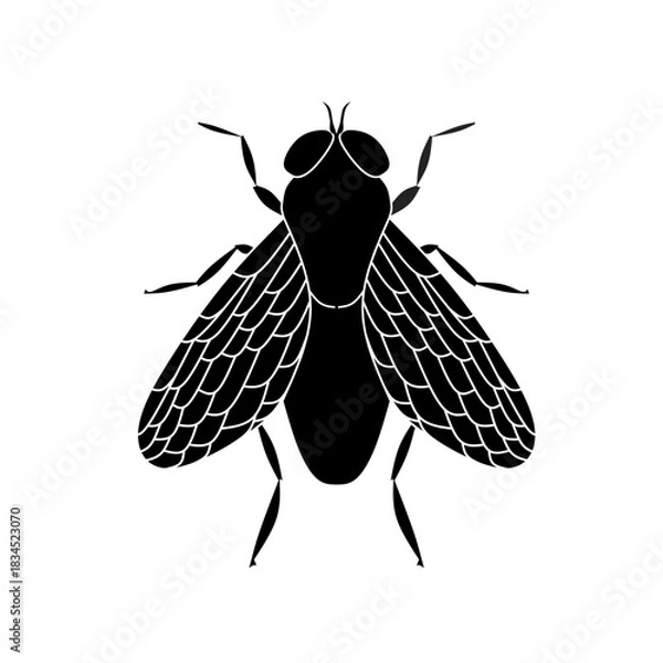 Obraz Insect fly vector icon.Black vector icon isolated on white background insect fly .