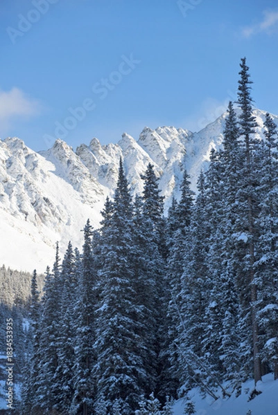 Fototapeta Snowy Ridge