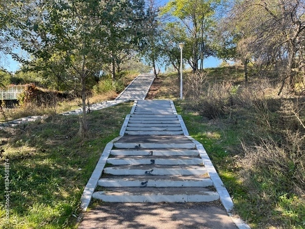 Fototapeta Outdoor Staircase Path in Green Park