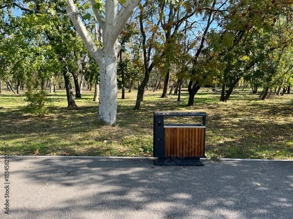 Fototapeta Park Trash Can Beside Tree Lined Path