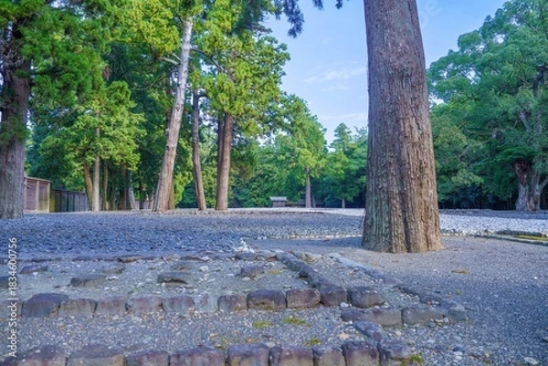 Fototapeta 静寂に包まれた式年遷宮御敷地の情景