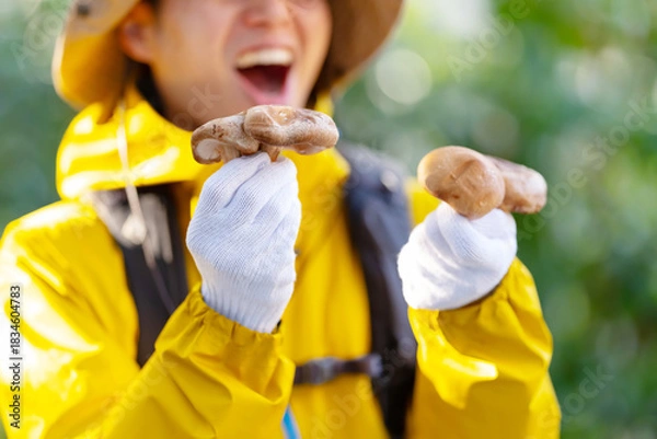 Obraz きのこ狩り