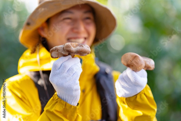 Obraz きのこ狩り