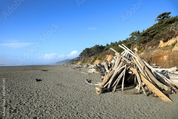 Obraz Klaloch Beach, Washington