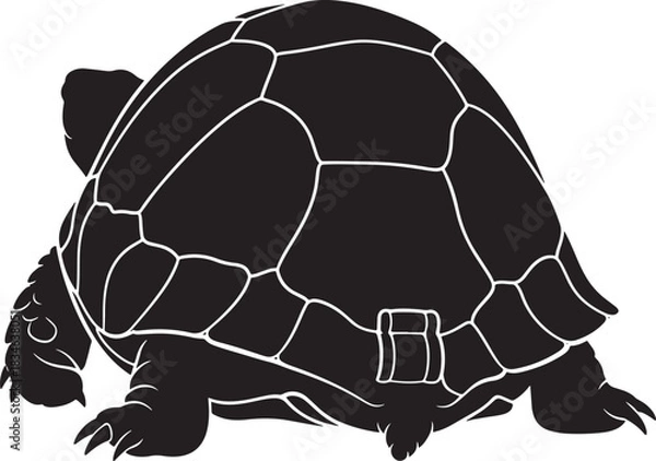 Obraz Stylized black tortoise silhouette icon with intricate shell pattern, isolated vector graphic for diverse design projects.