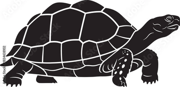 Obraz Tortoise or turtle outline vector graphic illustration. side view of a slow reptile with a patterned shell.