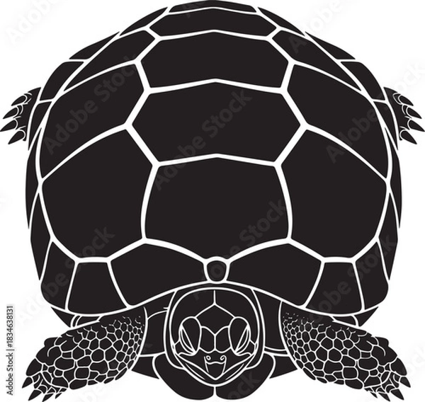 Obraz Monochromatic graphic vector illustration of a majestic sea turtle swimming, viewed directly from above, with shell pattern