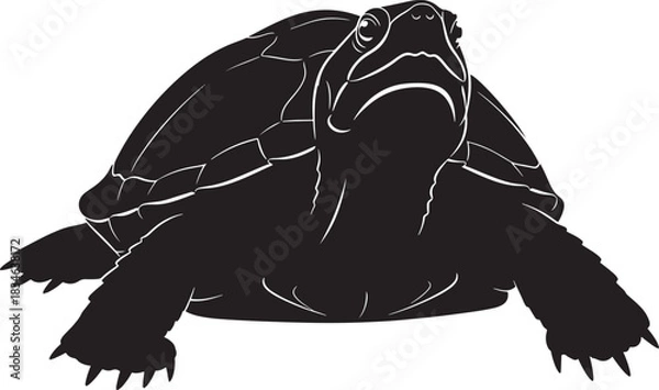 Obraz Silhouette illustration of a turtle with detailed shell and limb outlines, captured from a front-facing perspective looking up.