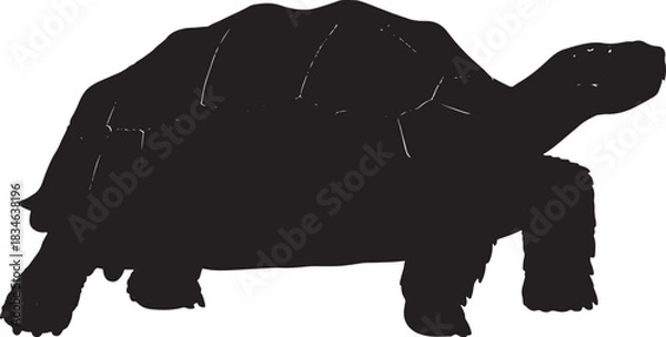 Obraz Giant tortoise animal silhouette isolated side view, wildlife reptilian graphic design element, perfect for projects.