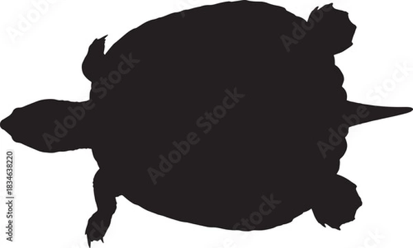 Obraz Silhouette of a marine or freshwater turtle from above, showcasing its distinctive shell and limbs, isolated on white.