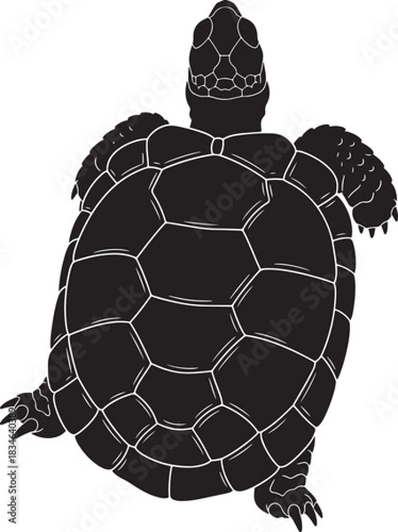 Obraz Black turtle silhouette top view, detailed shell pattern and head scales, perfect for aquatic wildlife themes.
