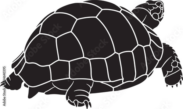 Obraz Stylized marine turtle silhouette with intricate shell patterns, vector illustration for wildlife and nature themes.