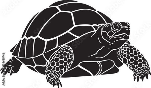 Obraz Stylized vector drawing of a terrestrial turtle, full body profile view, intricate shell pattern and textured skin details.