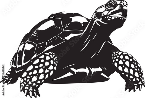 Obraz Stylized black and white illustration of a tortoise, an ancient reptile symbolising wisdom and longevity, isolated vector graphic.