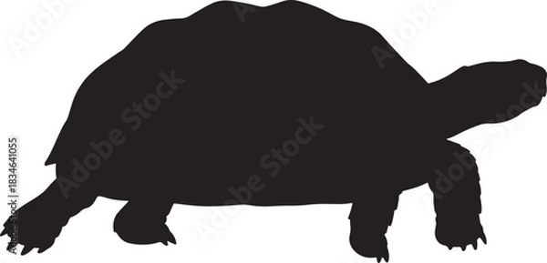Obraz Side view silhouette of a land tortoise or turtle, a slow-moving reptile, isolated on a clean background.