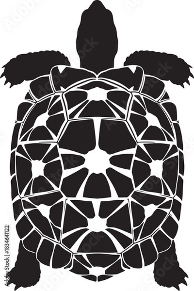 Obraz Stylized sea turtle silhouette with intricate geometric shell pattern, isolated vector illustration for design projects