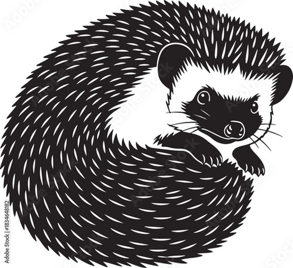 Obraz Detailed graphic illustration of a charming hedgehog curled into a protective ball, looking directly at viewer.
