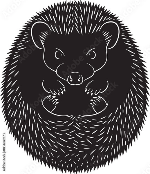 Obraz Stylized black and white curled hedgehog with detailed spines, vector illustration for nature and wildlife themes