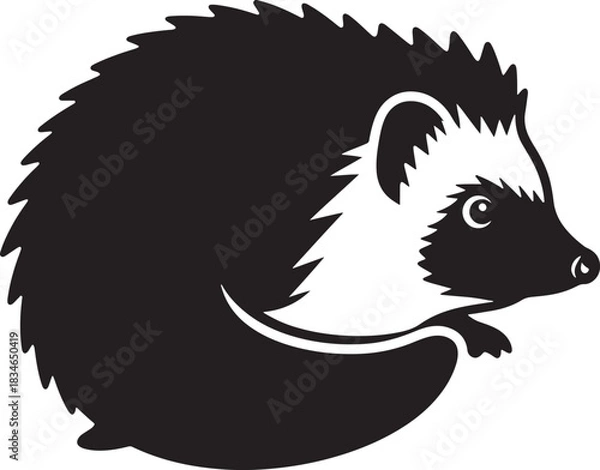 Obraz Stylized black and white hedgehog icon graphic illustration with curled body showing face and quills