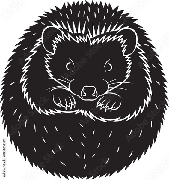 Obraz Stylized black and white vector illustration of a cute hedgehog curled up looking forward on a clean white background.