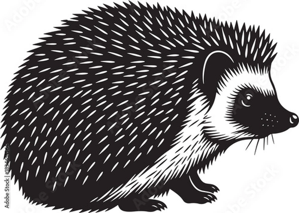 Obraz A detailed black and white stylized vector illustration of a wild hedgehog, featuring its iconic spiky coat for nature designs.