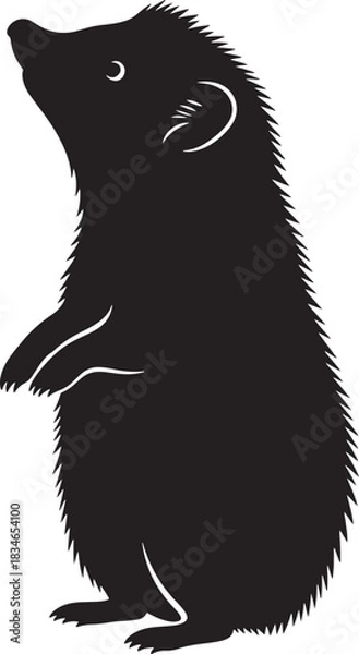Obraz Minimalist black hedgehog silhouette standing on hind legs, looking up, isolated on white background, sharp vector illustration