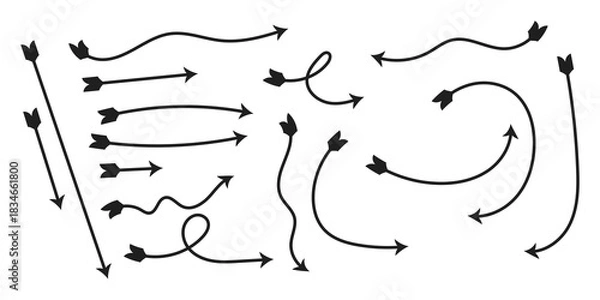 Fototapeta Hand-drawn black arrows set on white background | curved, looping, swirled, sketch arrows collection for design, presentation, infographic elements