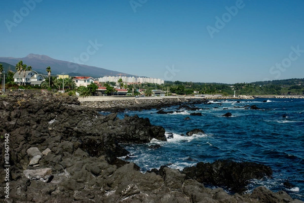 Fototapeta Scenic view of Jeju Islands coastline, featuring rocky shores and clear blue skies Perfect for nature lovers and travel enthusiasts