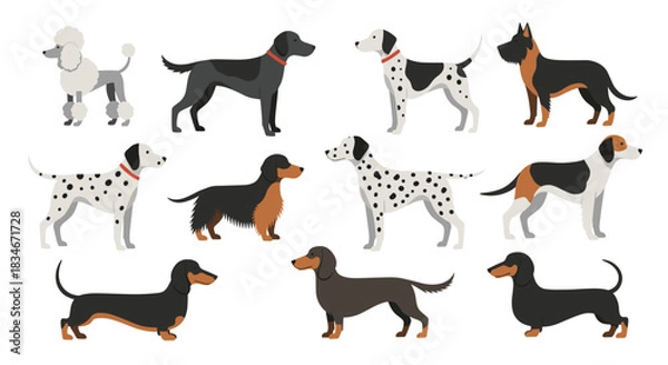 Fototapeta A collection of various dog breeds depicted in a simple pixel art style.