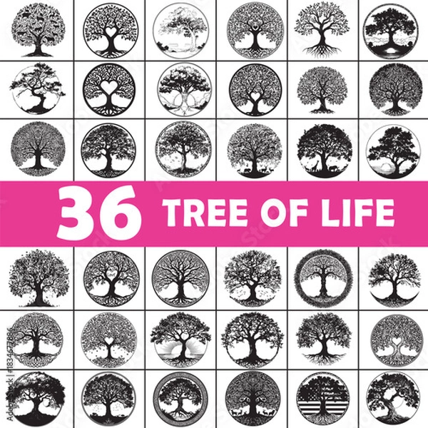 Fototapeta Adobe Stock