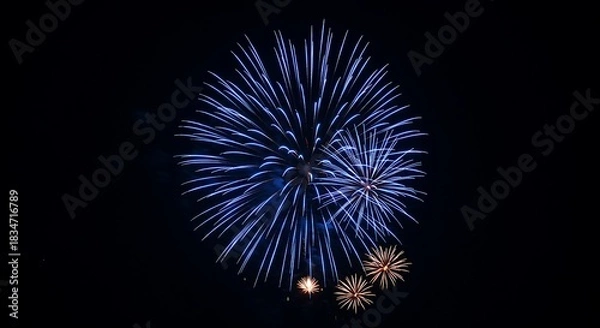Obraz Blue Fireworks Exploding in a Dark Night Sky explosion