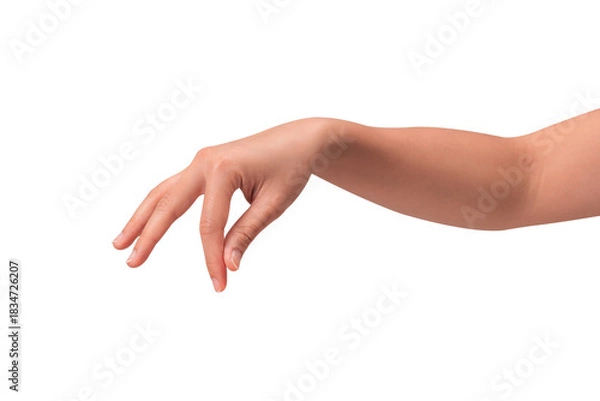 Fototapeta Close-up of a beautiful empty hand gesture isolated on a transparent PNG.
