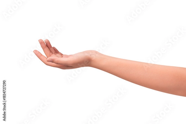 Fototapeta Close-up of a beautiful empty hand gesture isolated on a transparent PNG.
