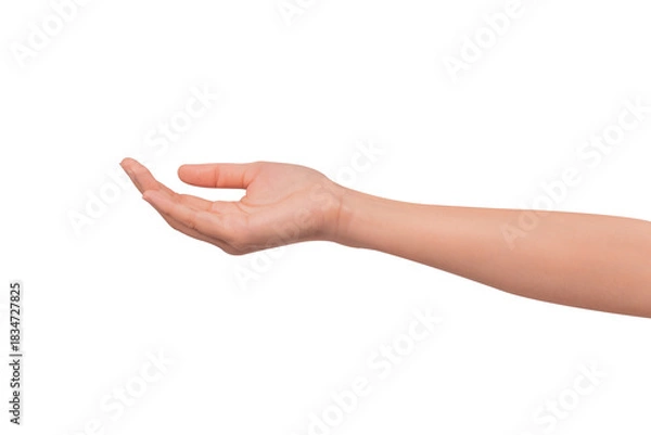 Fototapeta Close-up of a beautiful empty hand gesture isolated on a transparent PNG.
