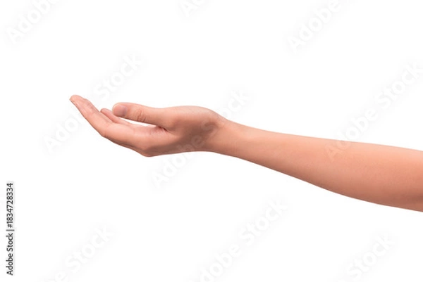 Fototapeta Close-up of a beautiful empty hand gesture isolated on a transparent PNG.
