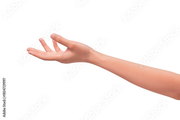 Fototapeta Close-up of a beautiful empty hand gesture isolated on a transparent PNG.
