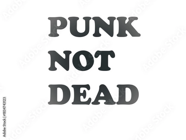 Obraz PUNK NOT DEAD