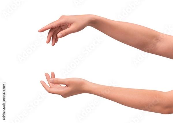 Fototapeta Close-up of beautiful empty hand gesture isolated on a transparent PNG.
