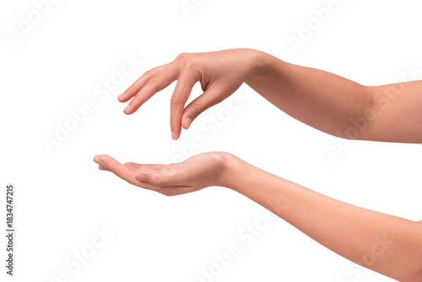 Fototapeta Close-up of beautiful empty hand gesture isolated on a transparent PNG.
