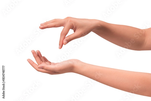 Fototapeta Close-up of beautiful empty hand gesture isolated on a transparent PNG.
